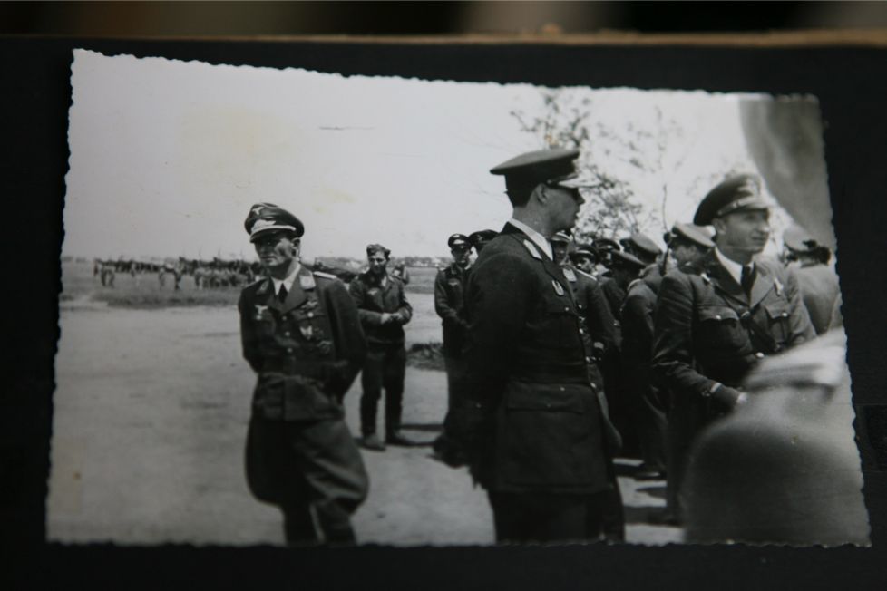 Regele Mihai