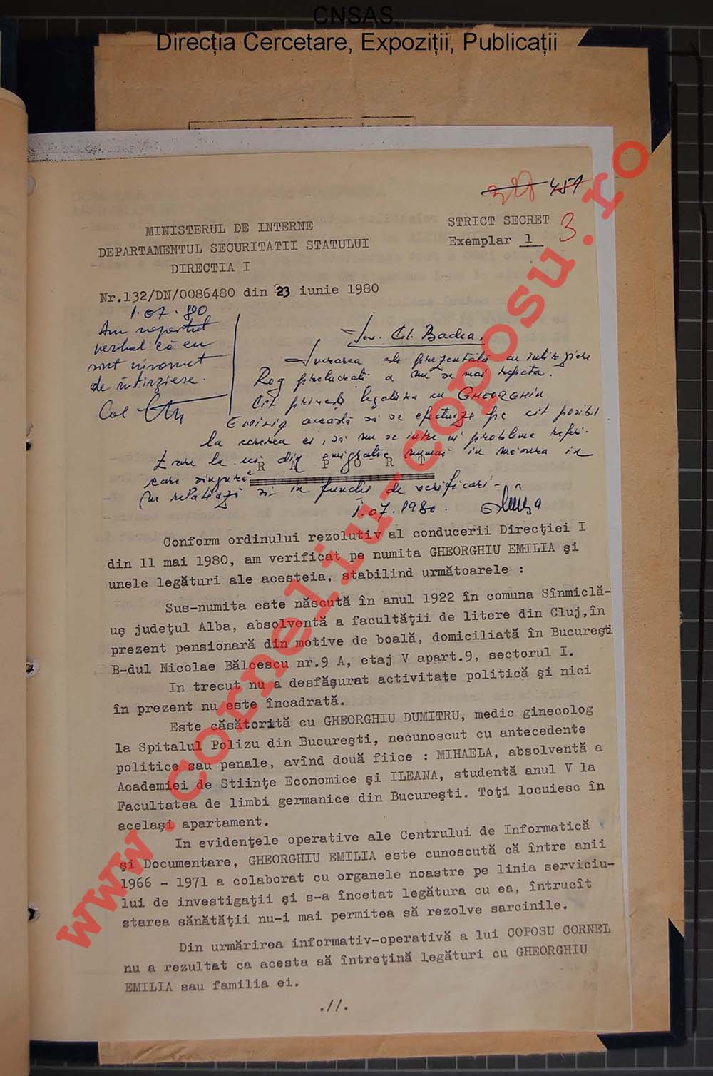 Nr. 132/DN/0086480 din 24 iunie 1980 - Raport
