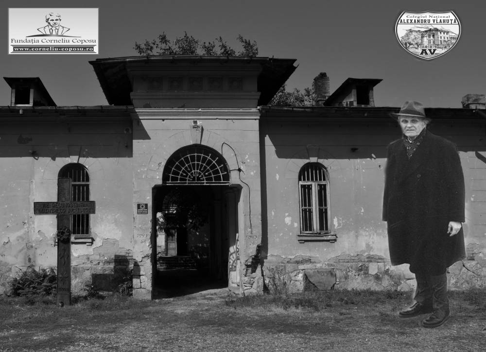 Proiect istorie Colegiul Național Alexandru Vlahuță